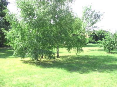 La Maison Tournesol - 3 Bedroom House With Large Garden Near Saumur 圣马丁拉迪拉帕 外观 照片