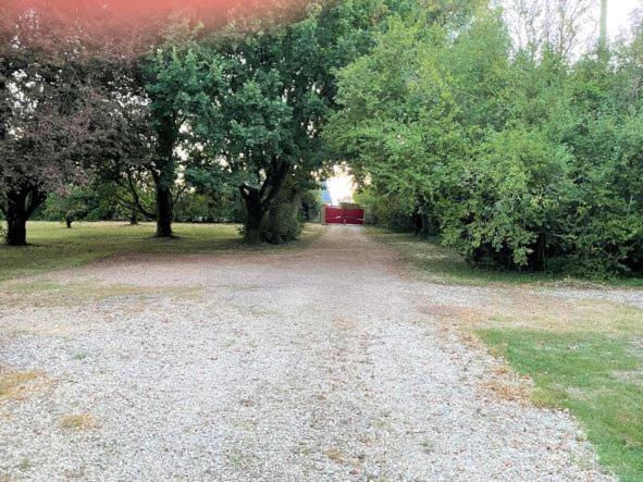 La Maison Tournesol - 3 Bedroom House With Large Garden Near Saumur 圣马丁拉迪拉帕 外观 照片