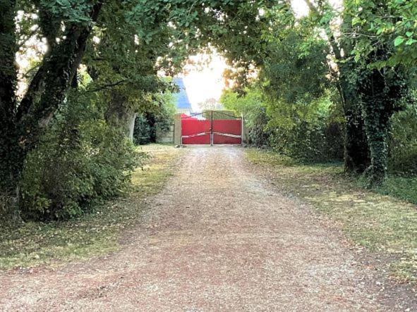 La Maison Tournesol - 3 Bedroom House With Large Garden Near Saumur 圣马丁拉迪拉帕 外观 照片